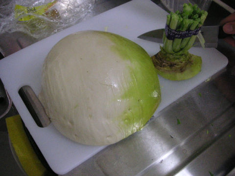 pict0067.jpg