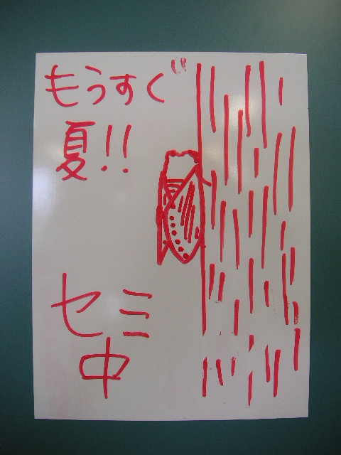 pict0318.JPG