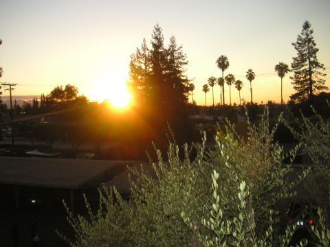 pict0986.jpg