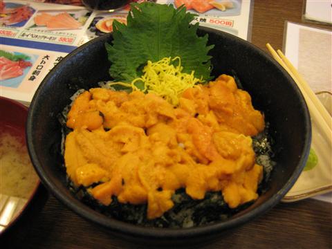 img_1027_r.jpg