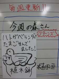 IMG_0908