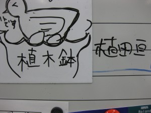 IMG_0909