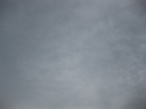 IMG_0956