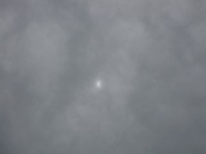 IMG_0958