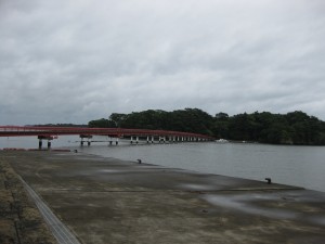 IMG_1147