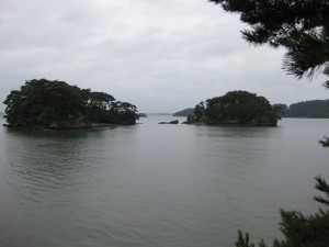 IMG_1154