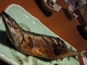 IMG_1222