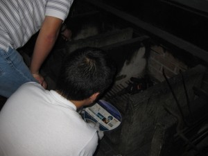 IMG_1374