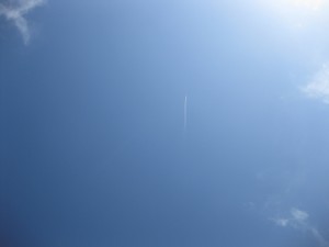 IMG_1485
