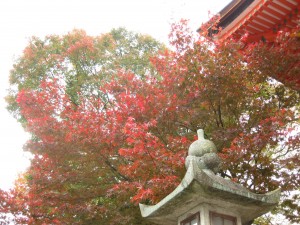 IMG_1812