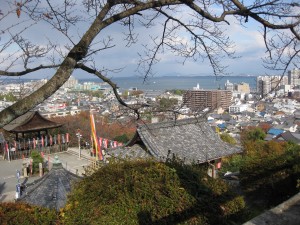 IMG_1850