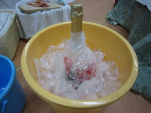 IMG_0279