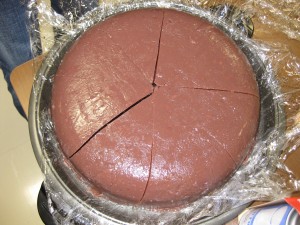 IMG_2042