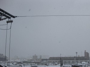 IMG_2062