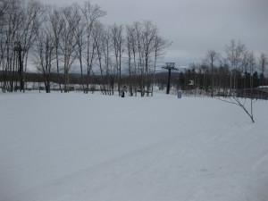 IMG_2220