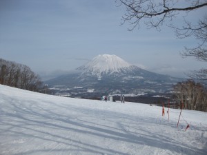 IMG_2231