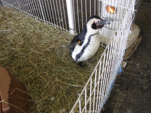 IMG_2282