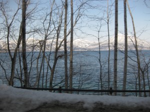 IMG_2294