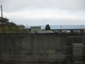 IMG_2345