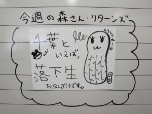 DSC00179