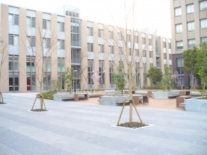 P1020031