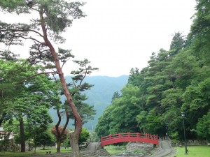 SN3J0605