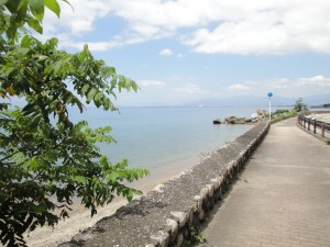 DSC01538