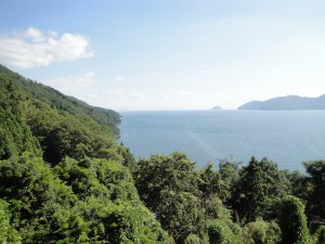 DSC01554