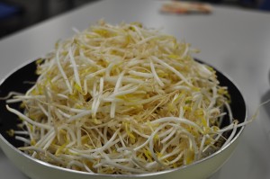 CSC_0014